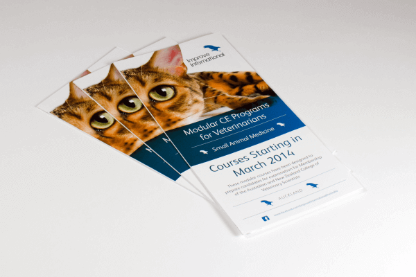 Z fold leaflet printing