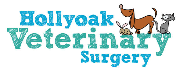 Hollyoak-LogoDev-final-logo-resized-600