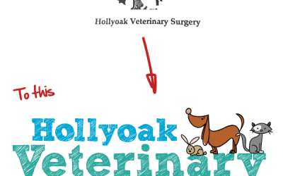 Veterinary logo rebrand helps to create a professional new image