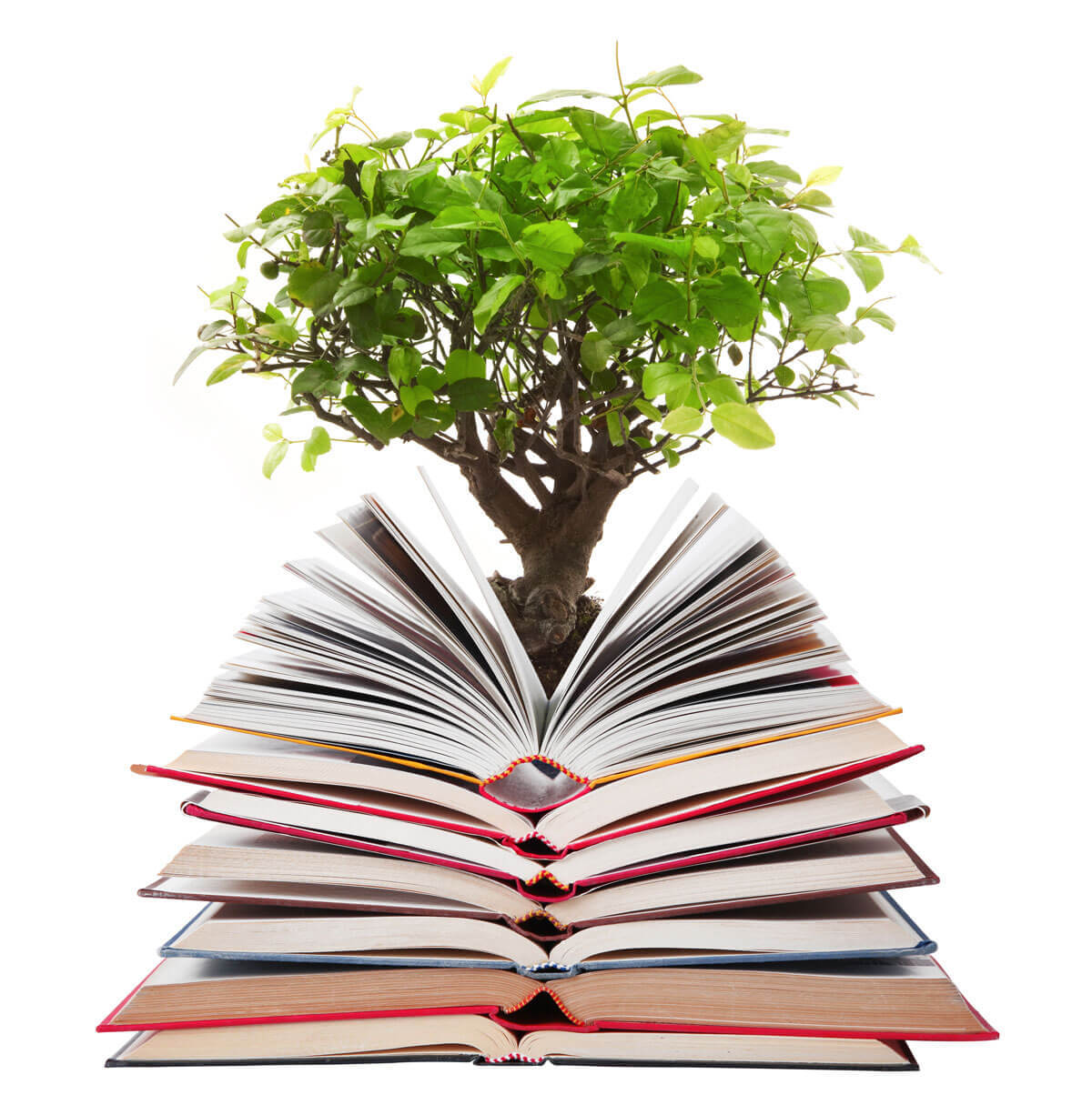 Recycled paper printing deals
