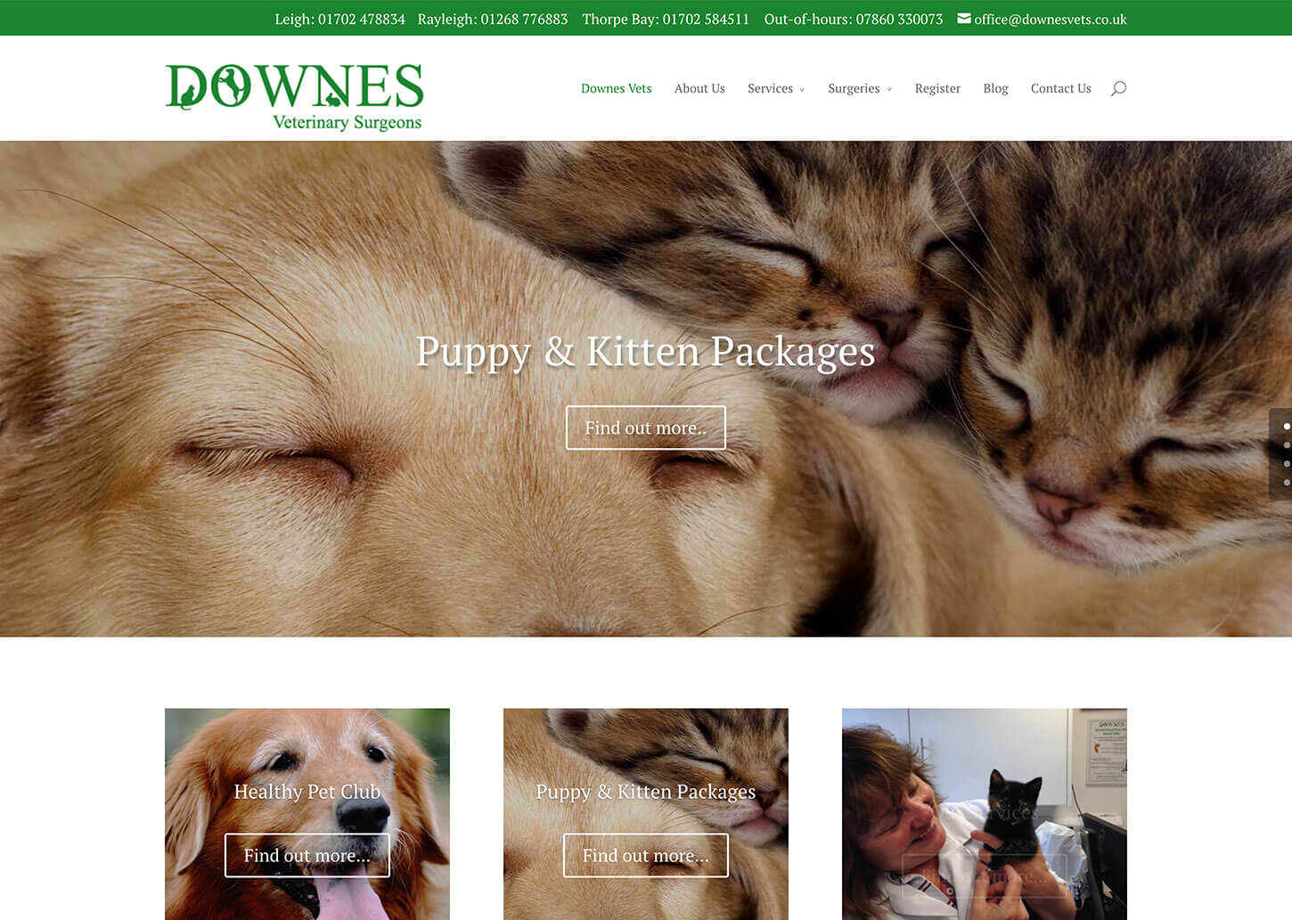 Vets website design for Downes Vets: Home page design