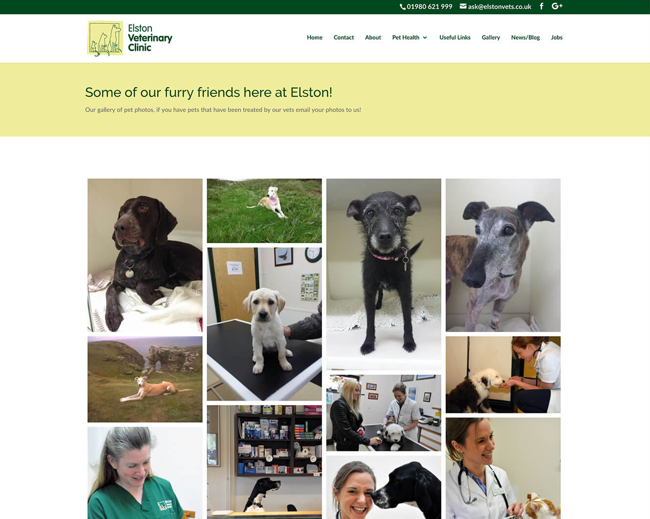 Veterinary website design for Elston Vets: Image gallery page
