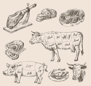 food-market-illustration-animals