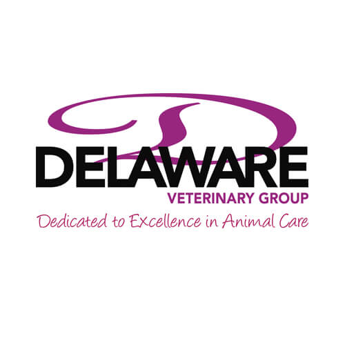 Proactive Marketing services for Delaware Vetinary Group