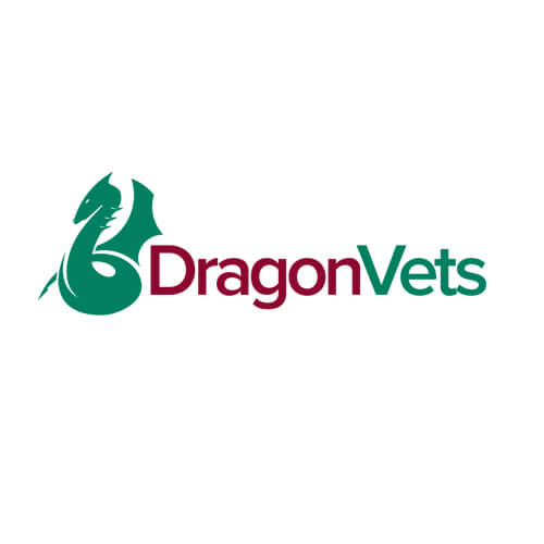 Proactive Marketing services for Dragon Vets
