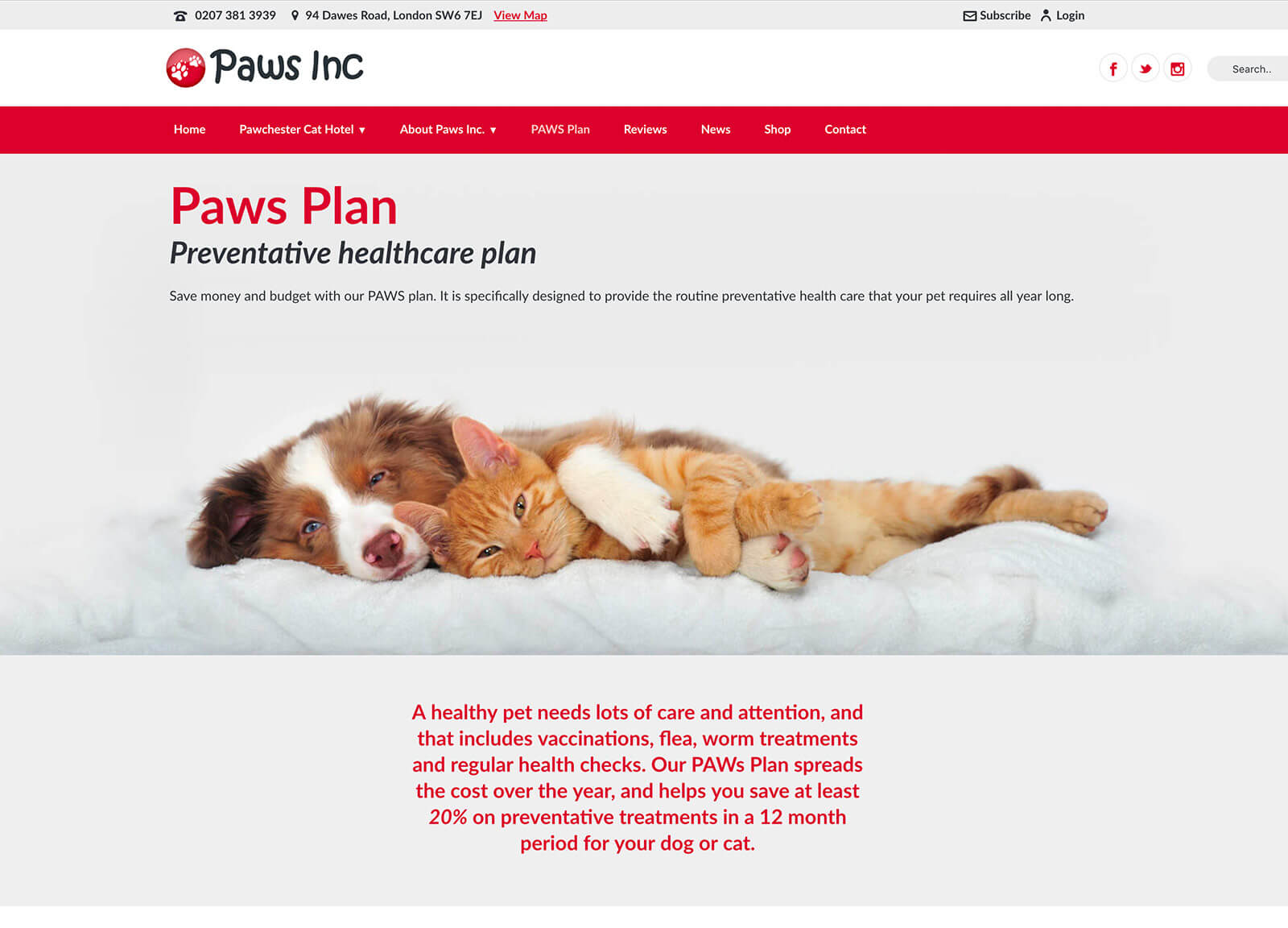 Cat hotel and vet practice website design - Healthy pet club page